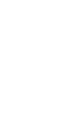 Serious Fools Logo